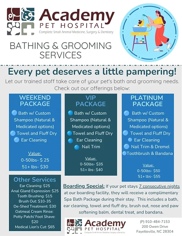 Bathing and grooming services flyer listing Weekend, VIP, and Platinum packages.