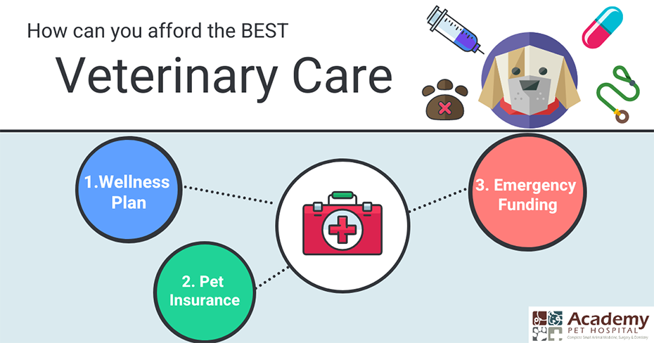 Afford the best Veterinary Care through Wellness Plans, Pet Insurance, and Emergency Funding