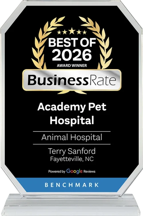 Best of 2026 BusinessRate Award Winner - Academy Pet Hospital
