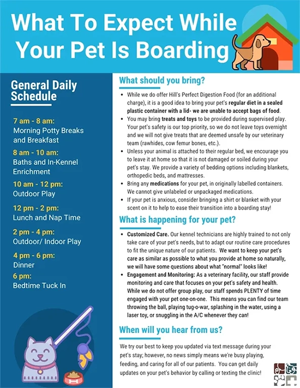 What to expect during boarding, including the daily schedule, what to bring, pet care details, and update communication.