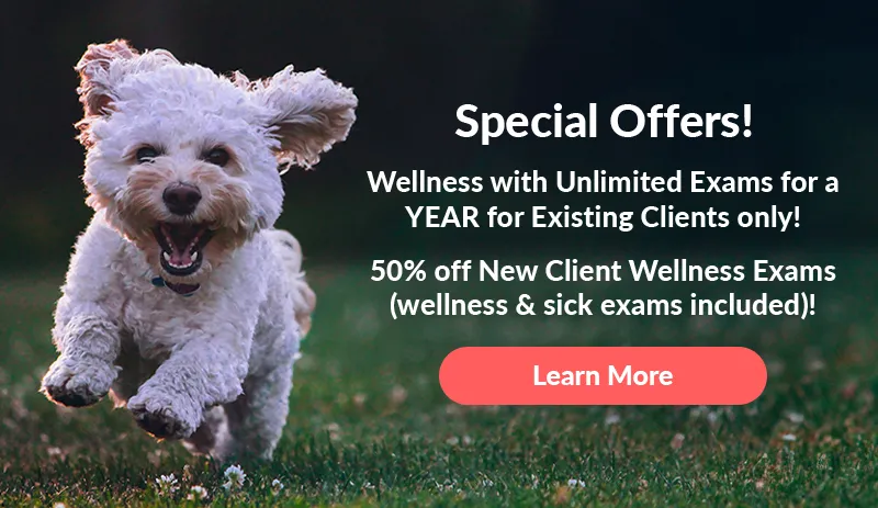 Special Offers! Wellness with Unlimited Exams for a YEAR for Existing Clients only! 50% off New Client Wellness Exams (wellness & sick exams included)! 