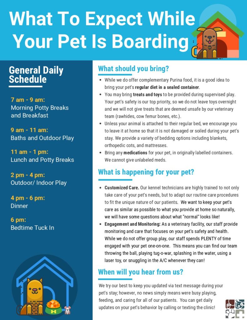 What To Expect While Your Pet is Boarding
