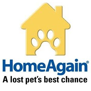 Link to Home Again Microchips Website