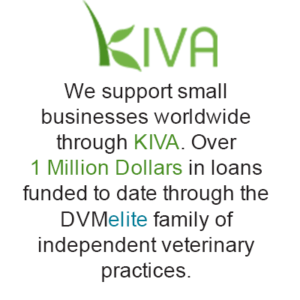 kiva-joyful-happines-delightful